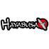 Hayabusa Fightwear (1)
